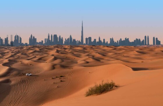 Mit dem Ferrari zur Kamelrennbahn: Erfolgreich Geschäft machen am Arabischen Golf (Vereinigte Arabische Emirate – Katar – Saudi-Arabien)